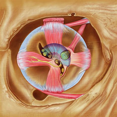 abducentburocent是谁2022已更新今日热点