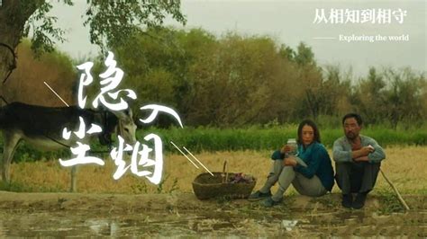 《隐入尘烟》：供中产“观看”的农民电影_凤凰网