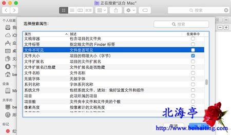 苹果Mac怎么设置搜索条件,Mac搜索隐藏文件图文教程_北海亭-最简单实用的电脑知识、IT技术学习个人站