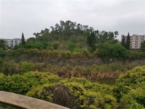 「坑塘」河北河间：废弃坑塘变身生态公园 公园|生态|河北河间