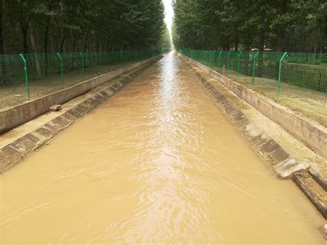 大河万物生丨黄河水在郑州转变了三次身份 花园口灌区要打造现代水体网络-大河新闻