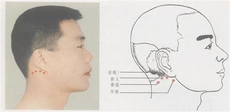 TOP标王