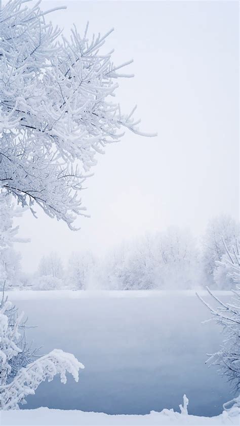 冬天雪花温暖白色雪景背景背景图片素材免费下载_熊猫办公