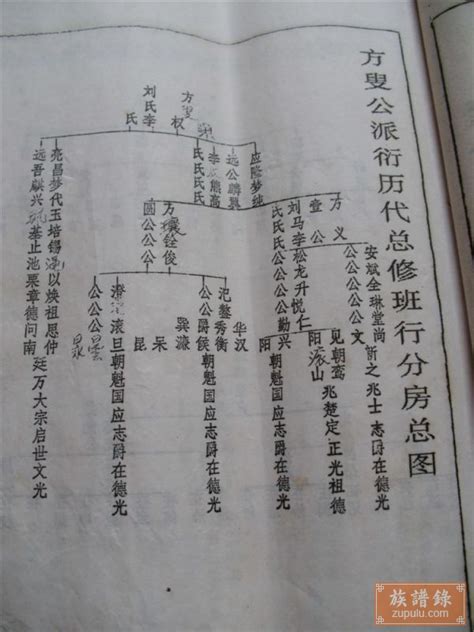 中华姓氏分支表曝光：看看你的家族起源于哪里？
