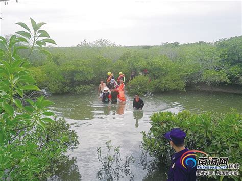 6名游客被困邻海湿地 儋州消防成功施救-新闻中心-南海网
