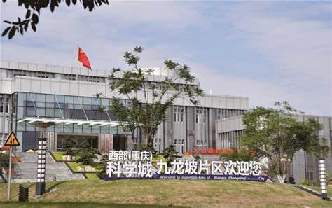重庆市九龙坡区行政服务中心(办事大厅)