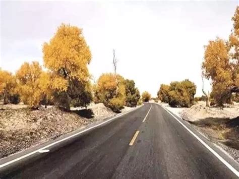 沙漠公路_和田沙漠公路 - 随意贴