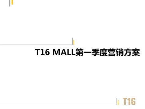 2017年第一季度南昌T16 MALL营销方案