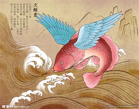 山海经神话图谱图片