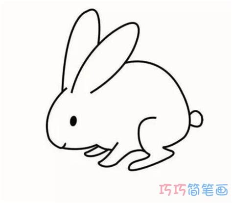 彩色卡通大白兔简笔画画法图片步骤_小小画家
