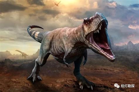 恐龙信息的记录载体——恐龙化石 - 山东诸城恐龙国家地质公园