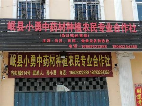 岷县小勇中药材种植农业专业合作社