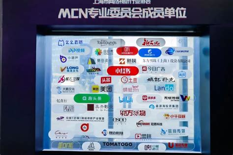 今日广告入选上海网络视听行业协会MCN专业委员会_今日广告ADTODAY