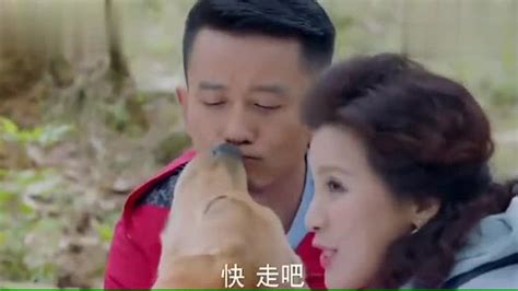 【影视】姜潮主演《神犬小七第三季》热播-北京现代音乐研修学院