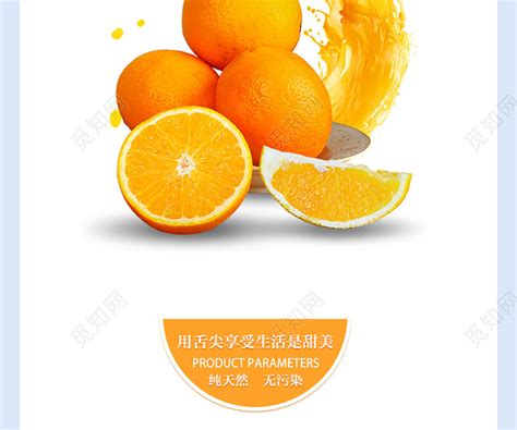 橙色清新水果柑橘橙子天猫淘宝详情页模板素材下载 - 觅知网