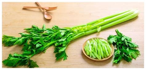 尿酸高常吃5种蔬菜，帮你把尿酸排出来|尿酸|尿酸高|痛风_新浪新闻