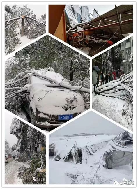 内蒙古局地遭遇特大暴雪 积雪最深达43厘米-图片频道