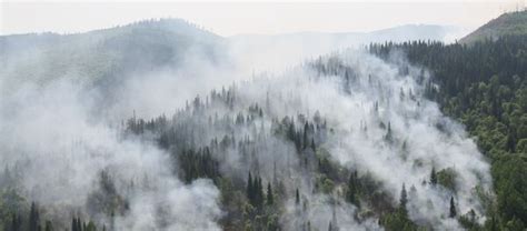 俄军方周一上午在西伯利亚森林大火火区空中投水550多吨 - 2019年8月5日, 俄罗斯卫星通讯社