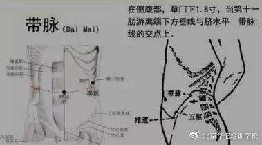 冲脉的准确位置图图片
