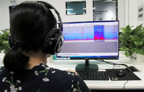 云南会议语音标注可以挣多少「上海抒炬计算机供应」 - 水专家B2B