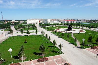 地方观察丨绥化市对外贸易 亮出集群化发展成绩单_企业_进出口_生产