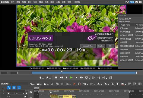 EDIUS X视频剪辑软件下载_EDIUS X永久免费版下载10.0 - 系统之家