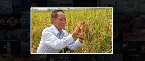 “杂交水稻之父”袁隆平去世 享年91岁_凤凰网视频_凤凰网