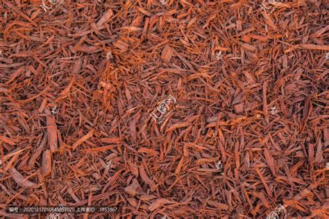 木材的锯末能当农作物肥料吗 木屑怎么加工发酵成有机肥-趣丁网