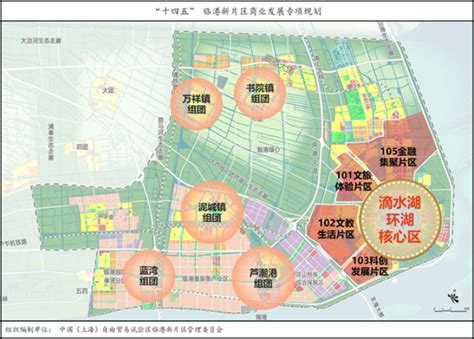 临港新片区：2025年商业设施建筑面积达100万平方米_自贸区连线_澎湃新闻-The Paper