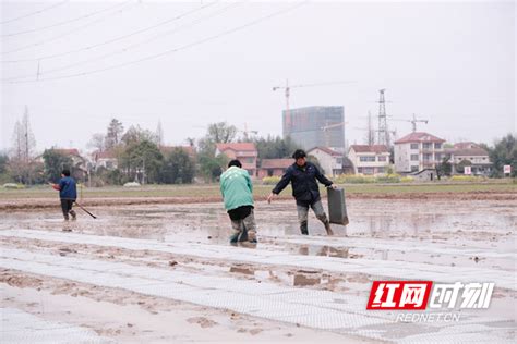 白马镇嵩溪村大窑道路建设工程中标结果公告