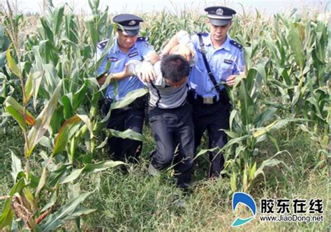 山东滨州：老人组团拎麻袋偷摘玉米，主人连续三天睡车上防盗 - 知乎