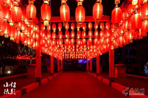 民族风广场舞《火火的红马鞭》32步加长完整版#零基础学舞蹈_腾讯视频