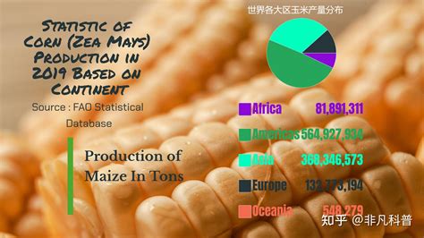 世界十大玉米生产国排行榜，中国排第二，最大玉米生产国是哪个？ - 知乎