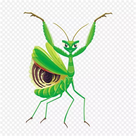 绿色螳螂卡通插画PNG图片素材下载_图片编号qakvzznq-免抠素材网