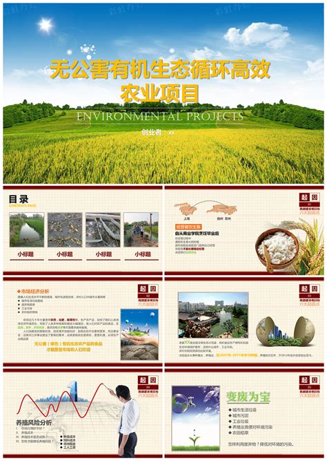 稻香绿色环保农业创业项目PPT模版 - 彩虹办公