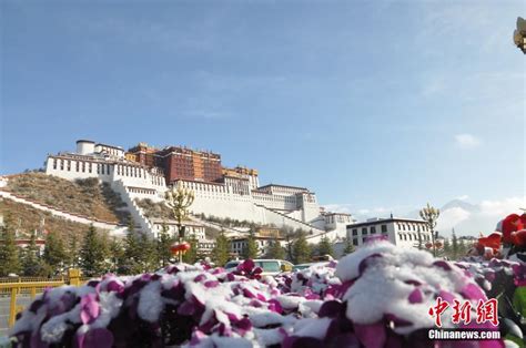 年味溢出屏幕 西藏拉萨进入“藏历新年时间”_精彩图片_西藏统一战线