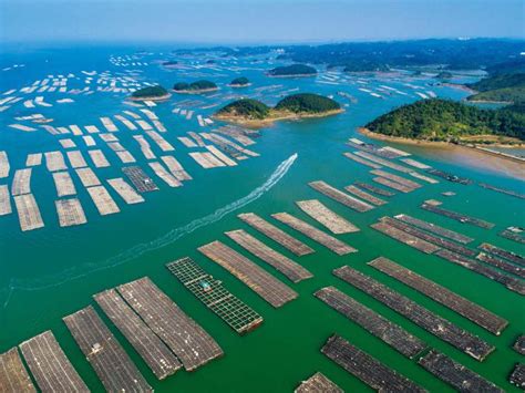 你知道近海养殖吗？中国是第二，第一是一个小国！_水产