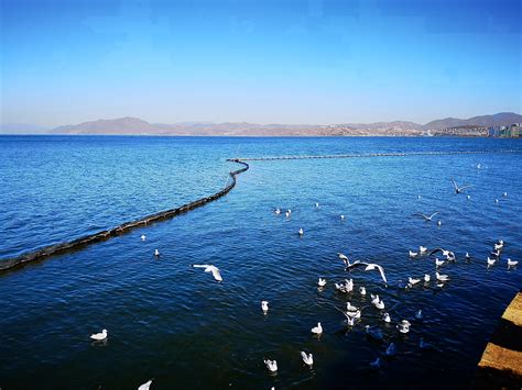 大理洱海湖畔边的这些绝美民宿，美的让你流连忘返