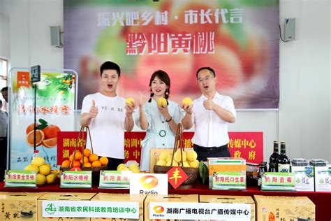 一小时卖出15万斤 洪江市长为黔阳黄桃直播“带货” - 大美公社 - 新湖南