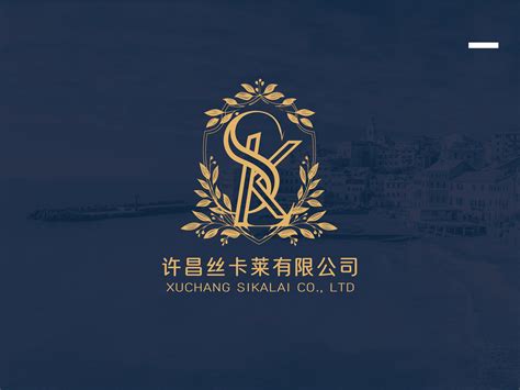 标志(logo)设计，假发行业电商标志_Sean胜-站酷ZCOOL