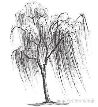 柳树的素描画法 - 知乎