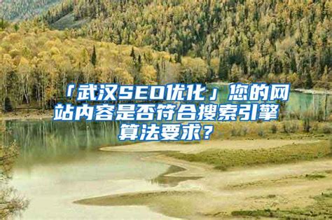 「武汉SEO优化」您的网站内容是否符合搜索引擎算法要求？_SEO技术_SEO技术资讯_SEO优化排名