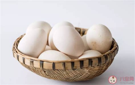 经常吃鹅蛋有什么营养 哪些人不建议吃鹅蛋 _八宝网