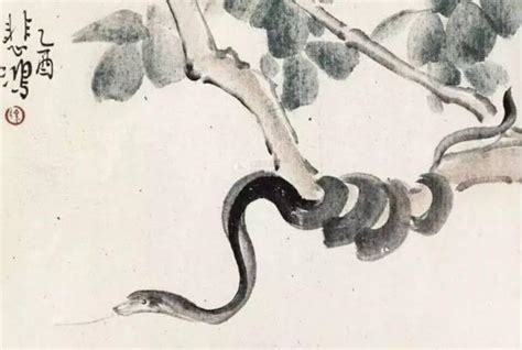 生肖蛇，属蛇人命中注定的贵人是谁？