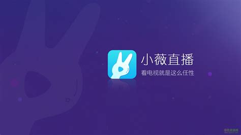 小薇直播app官方版2.8.0.3 TV版