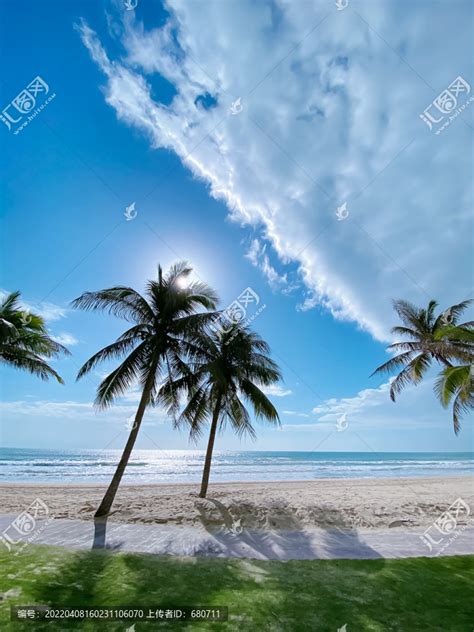椰树上的秋千与海滩美景摄影图片 - 三原图库sytuku.com