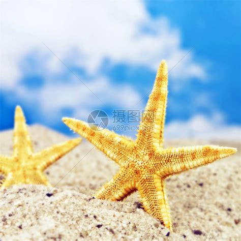 沙海中的海星对着天空高清图片下载-正版图片506290047-摄图网
