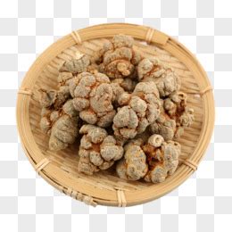 三七形状大全图片