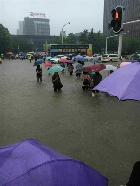 武汉暴雨积水多交通瘫痪水淹车(6)_社会万象_99养生堂
