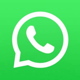 WhatsApp最新官方下载_ WhatsApp电脑版-电脑公司下载站